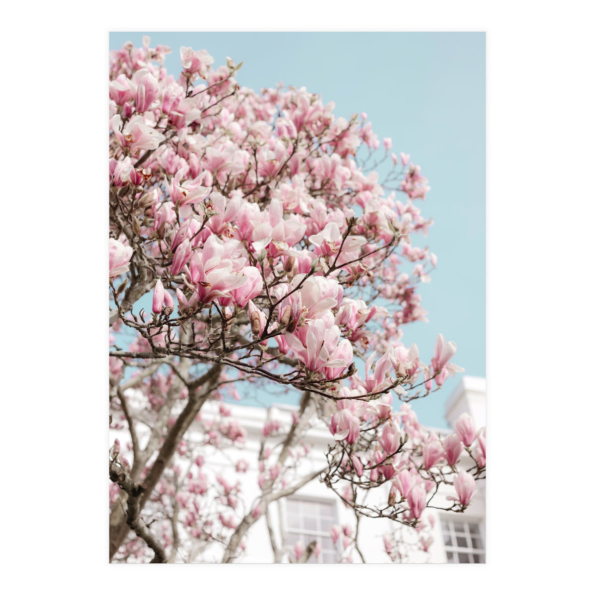 Spring Time (Print Only)