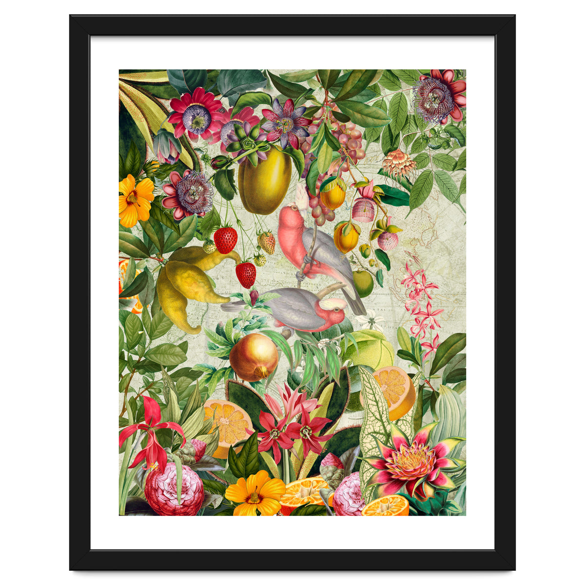 Pink Cockatoo vintage jungle