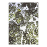 Mother Nature (Print Only) thumbnail