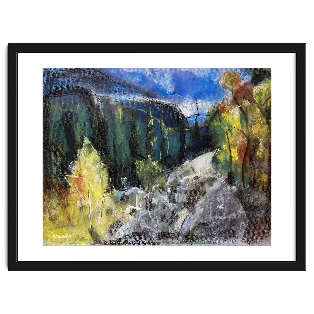 The Forest of Rila Mountain