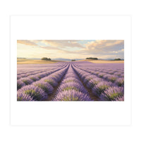 Provençal Sunset: Lavender Field Landscape (Print Only)