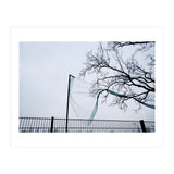 Net caught in a tree (Print Only) thumbnail
