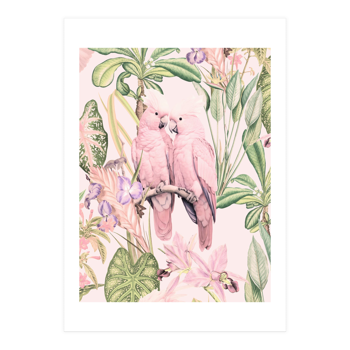 Pink Cockatoos in Love (Print Only)