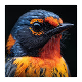 Vibrant Bird With Orange And Blue Plumage (Print Only) thumbnail