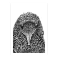 Muninn (Print Only)