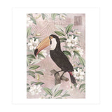 Exotic Bird Toucan (Print Only) thumbnail