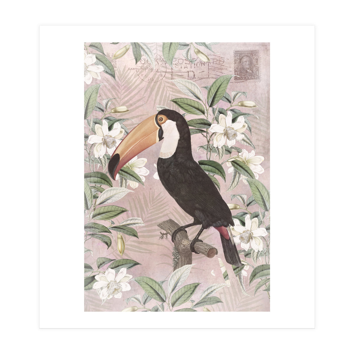 Exotic Bird Toucan (Print Only)