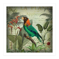 Tropical Bird Nostalgia  (Print Only)