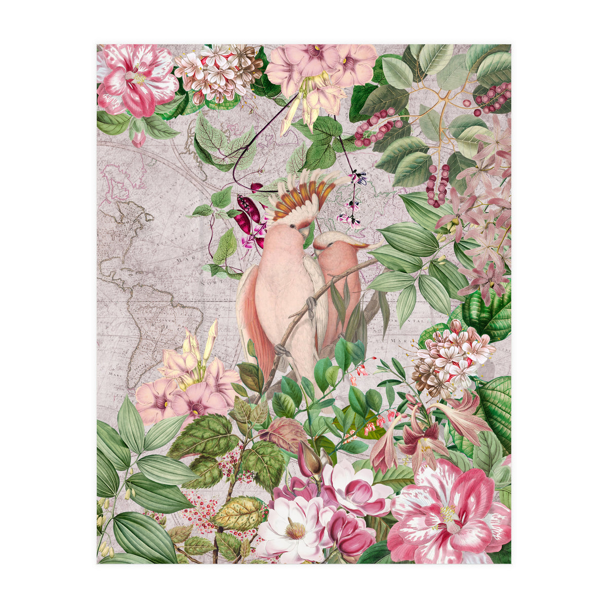 Parrot Exotic Jungle  (Print Only)