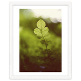Out of the green thumbnail