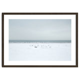 Seagulls in the Snow beach thumbnail