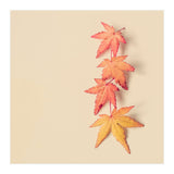 Maple In Pastel (Print Only) thumbnail
