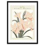 Flower Market Cap Town Amaryllis thumbnail