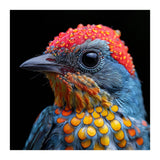 Close Up Of Colorful Bird With Water Droplets (Print Only) thumbnail