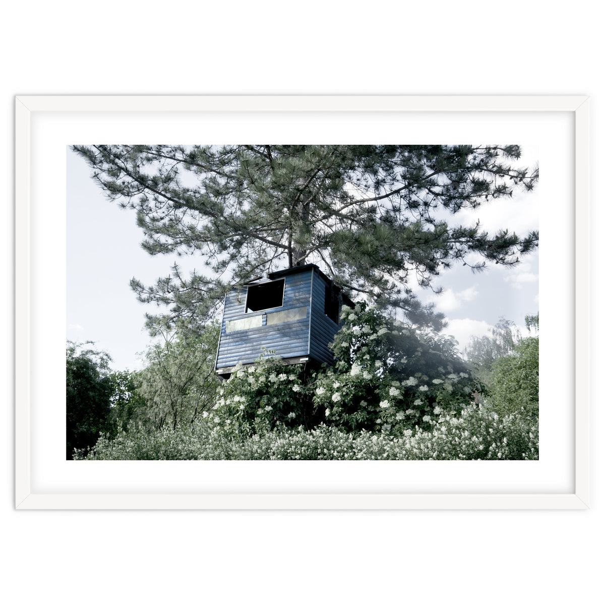 Blue hut on the tree