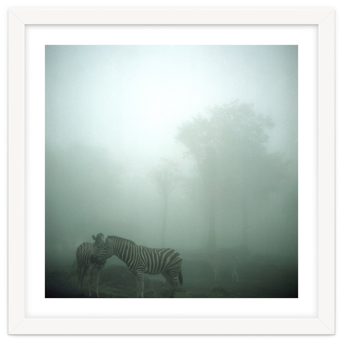 Silence of breath - 15