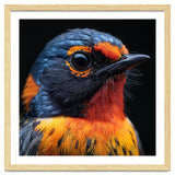 Vibrant Bird With Orange And Blue Plumage thumbnail