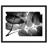 Branches and Leaves, 2016, 3 thumbnail