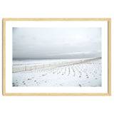 Winter grass in snow beach thumbnail