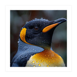 King Penguin Standing In Rain With Water Drops Nature Photography (Print Only) thumbnail