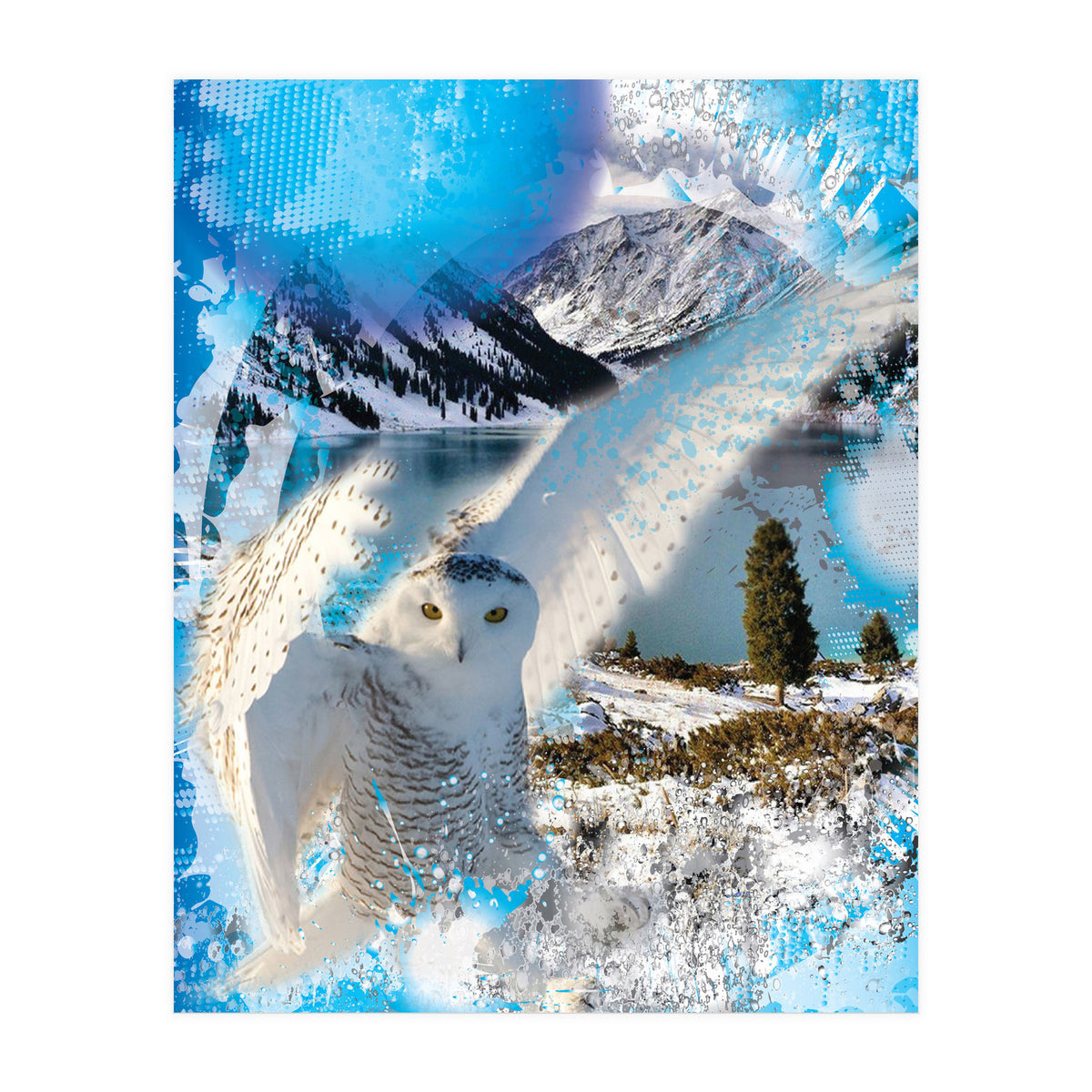 Snow Owl (Print Only)