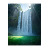 Lush Sun-Drenched Autumn Forest (Print Only) thumbnail