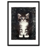 Bicolor Cute Kitten Portrait thumbnail