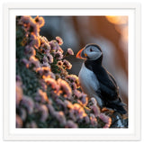 Puffin Bird On Rocks Near Pink Flowers At Sunset thumbnail