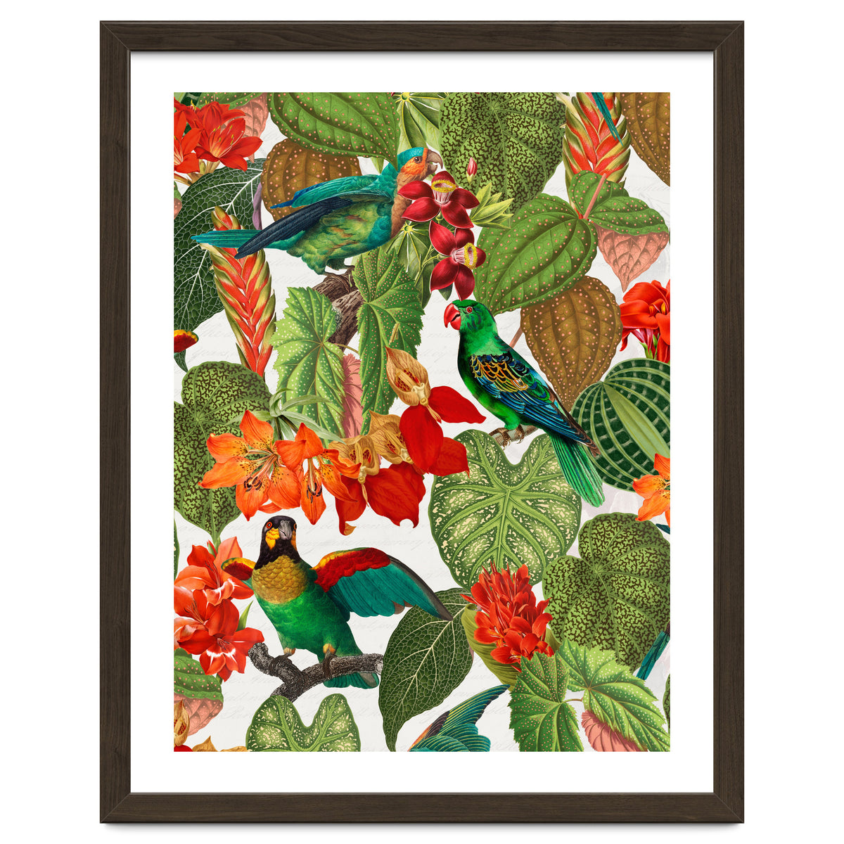 Tropical Parrots In Flower Jungle