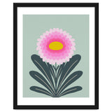 Chrysanthemum - turquoise and pink thumbnail