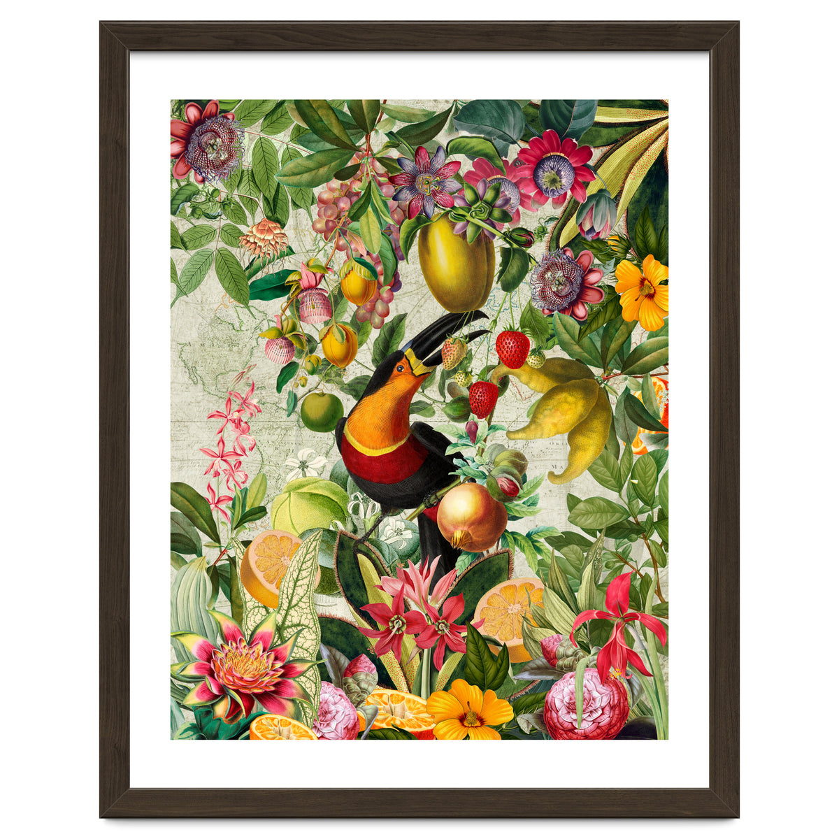 Toucan vintage jungle 1