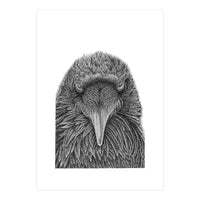 Muninn (Print Only)