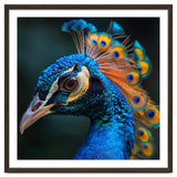 Peacock Bird Portrait Detailed Feathers Vibrant Colors thumbnail