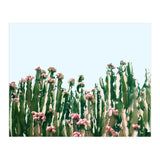 Blush Cactus #society6 #decor #buyart (Print Only) thumbnail