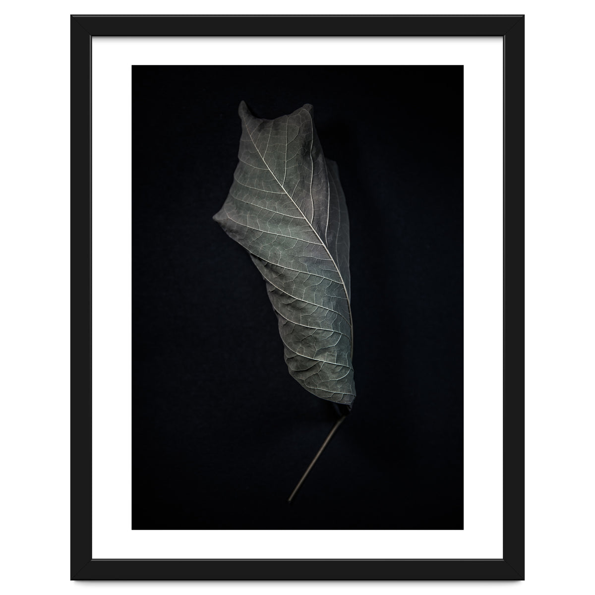 Leaves No 3 Color Version