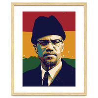 Malcolm X v2