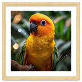 Sun Conure Parrot Colorful Bird Perched On Branch thumbnail