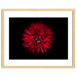 Backyard Flowers No 45 Color Flow Version thumbnail