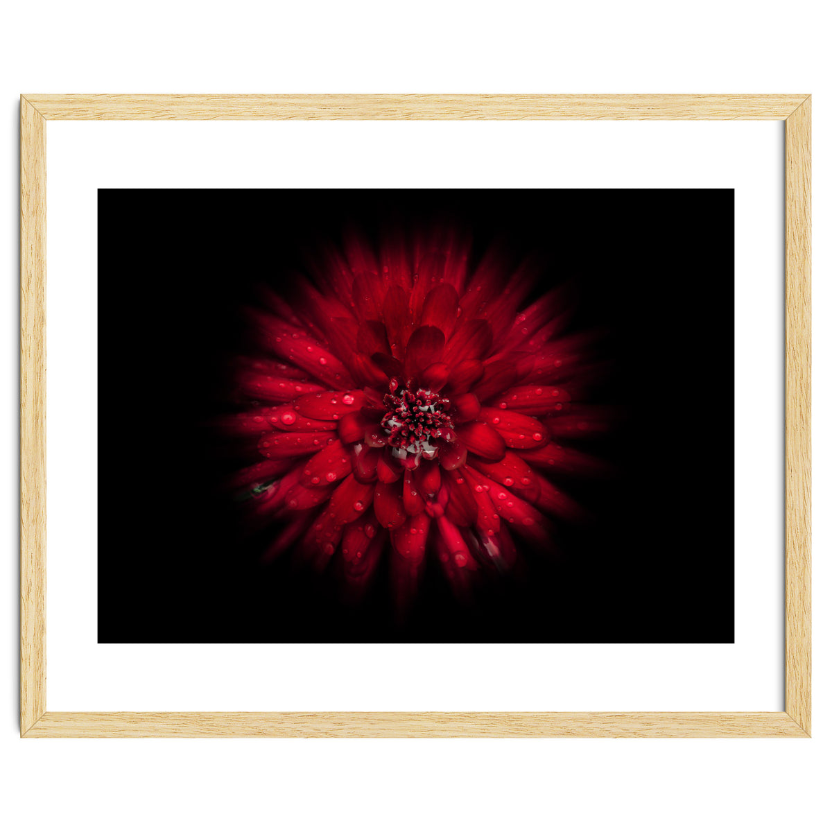 Backyard Flowers No 45 Color Flow Version