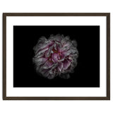 Backyard Flowers No 118 Color Version thumbnail