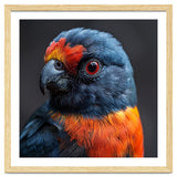 Close Up Portrait Of A Colorful Parrot thumbnail