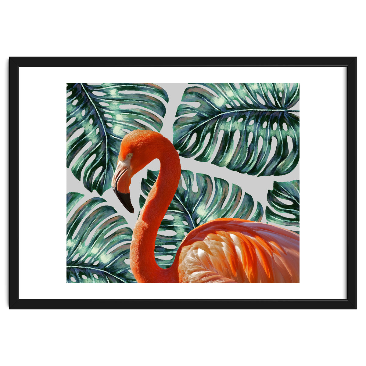 Flamingo Self Portrait