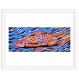 Little fish thumbnail