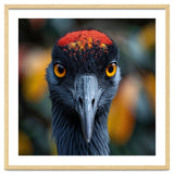Close Up Of A Strikingly Beautiful Bird Face thumbnail