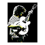 Pat Metheny American Jazz Guitarist Legend in Pop Art (Print Only) thumbnail