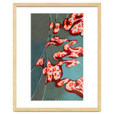 Pennants thumbnail