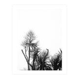 Miminalist Palm (Print Only) thumbnail
