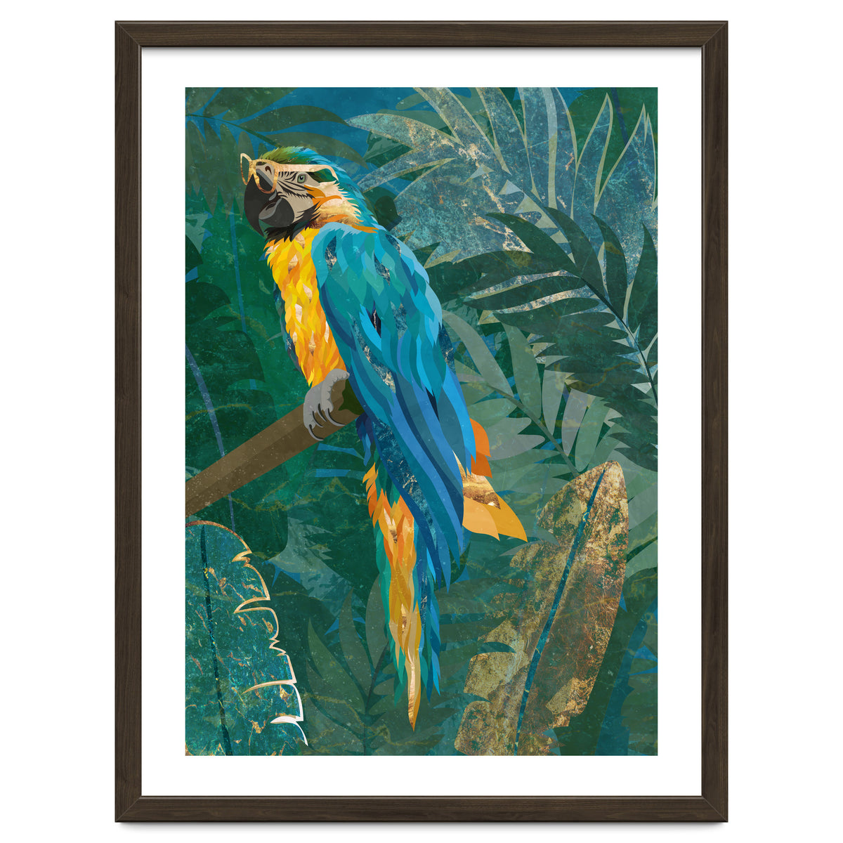 Macaw in the jungle