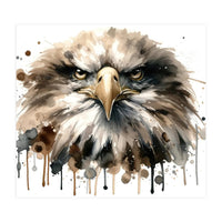 Fierce Bald Eagle Portrait (Print Only)