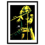 Ian Anderson Musician Legend thumbnail